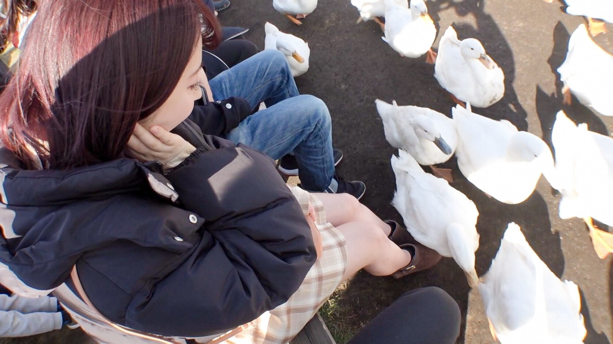 レンタル彼女。xPRESTIGE PREMIUM 11